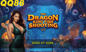 Lưu ý khi đăng ký QQ88