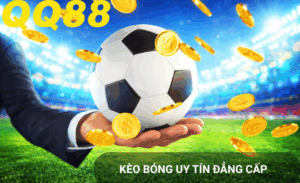 Quản lý vốn cược bóng Qq88